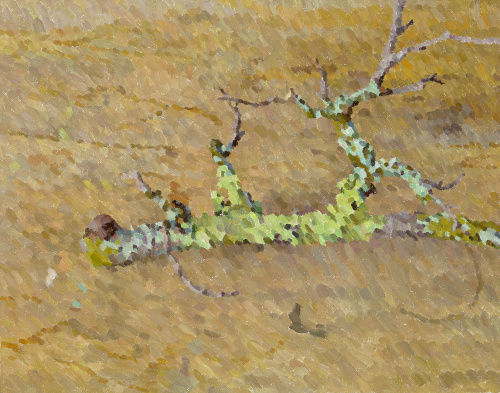 William Wilkins, Still Life: Pear Branch, 2022