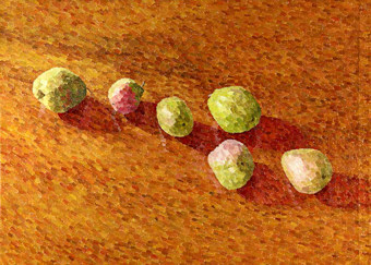 William Wilkins, recent paintings