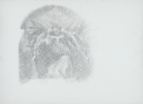 William Wilkins, drawings