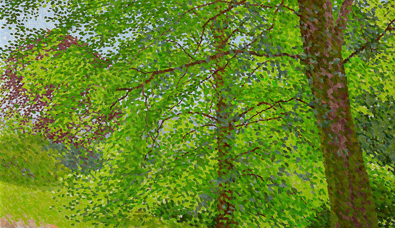 William Wilkins, recent paintings, Trees in Morning Light