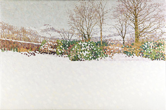 William Wilkins, recent paintings