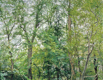 William Wilkins, Welsh landscape paintings